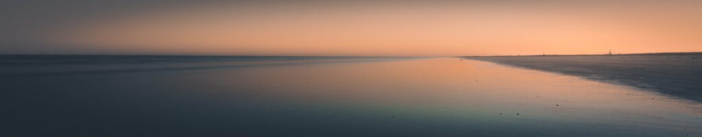 EnviraGallery-headerpic-24. März 2022 - IRN05285-Verbessert-RR-2- 77.jpg