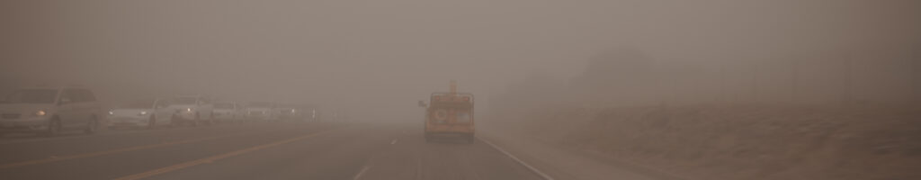 EnviraGallery-headerpic-25. September 2023 - A6700-20230925_0224-1- 01.jpg