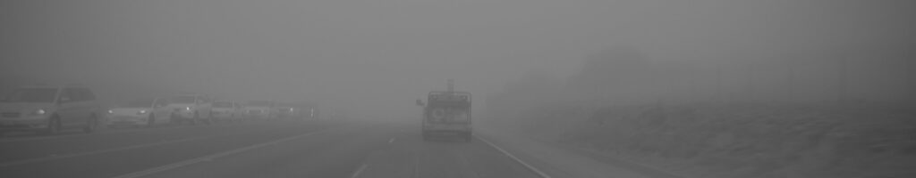EnviraGallery-headerpic-25. September 2023 - A6700-20230925_0224-1- 09.jpg