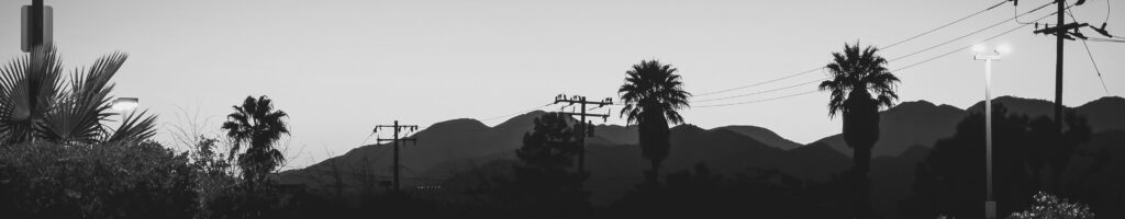 EnviraGallery-headerpic-25. September 2023 - IMG_3377- 06.jpg