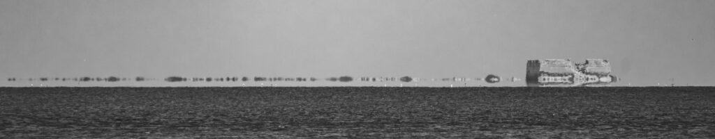 EnviraGallery-headerpic-27. März 2023 - IRN08171-Verbessert-RR- 02.jpg
