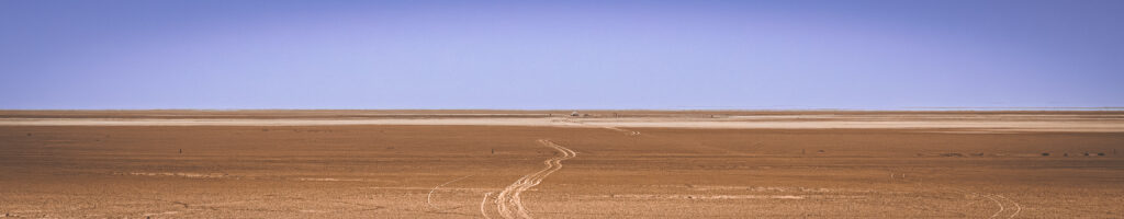 EnviraGallery-headerpic-30. März 2023 - IRN08469-Verbessert-RR- 11.jpg
