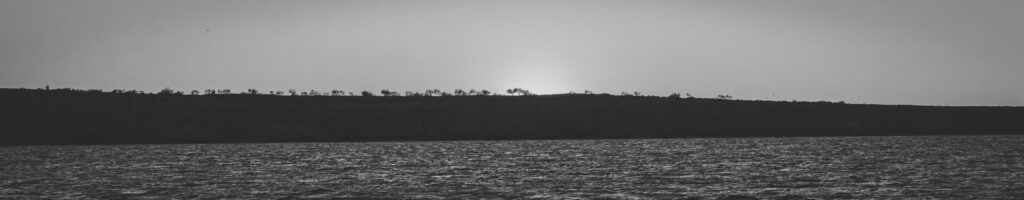 EnviraGallery-headerpic-30. März 2023 - IRN08558-Verbessert-RR- 01.jpg