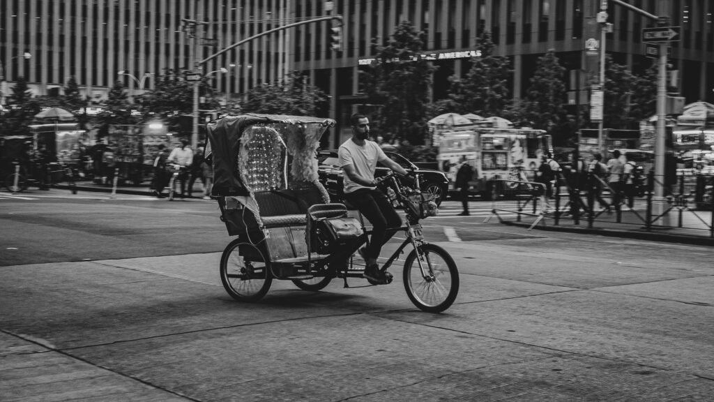 EnviraGallery-photography-11. September 2024 - A6700-20240912_0522_1- 03.jpg