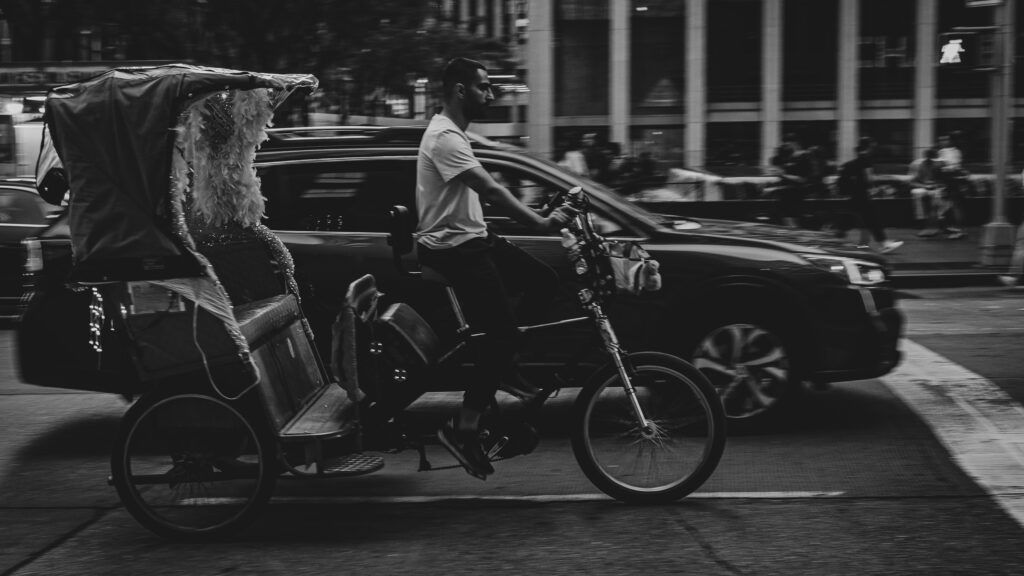 EnviraGallery-photography-11. September 2024 - A6700-20240912_0522_2- 04.jpg