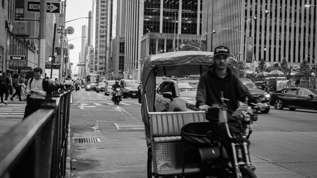 EnviraGallery-photography-11. September 2024 - A6700-20240912_0523_5- 06.jpg