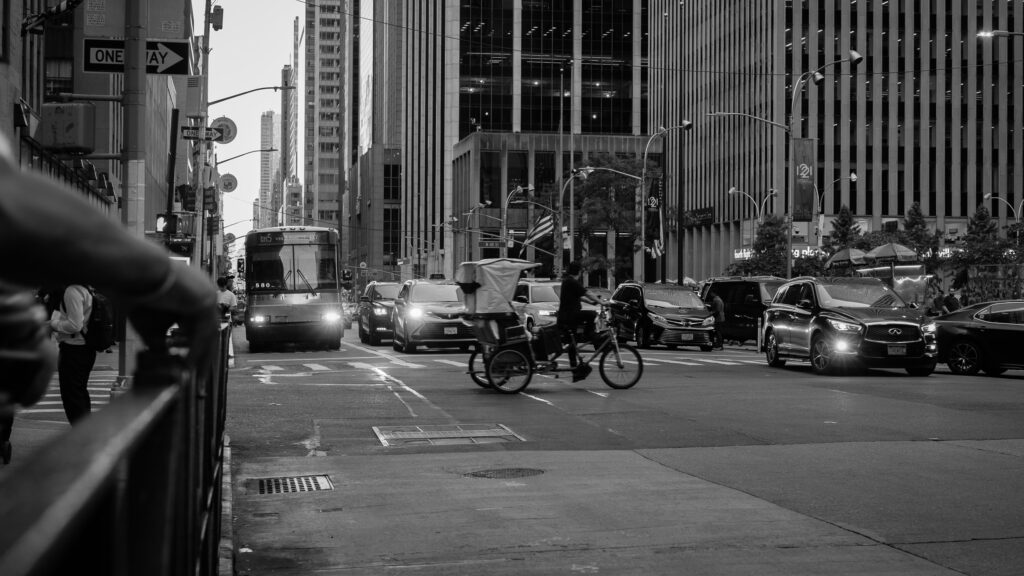 EnviraGallery-photography-11. September 2024 - A6700-20240912_0523_6- 09.jpg