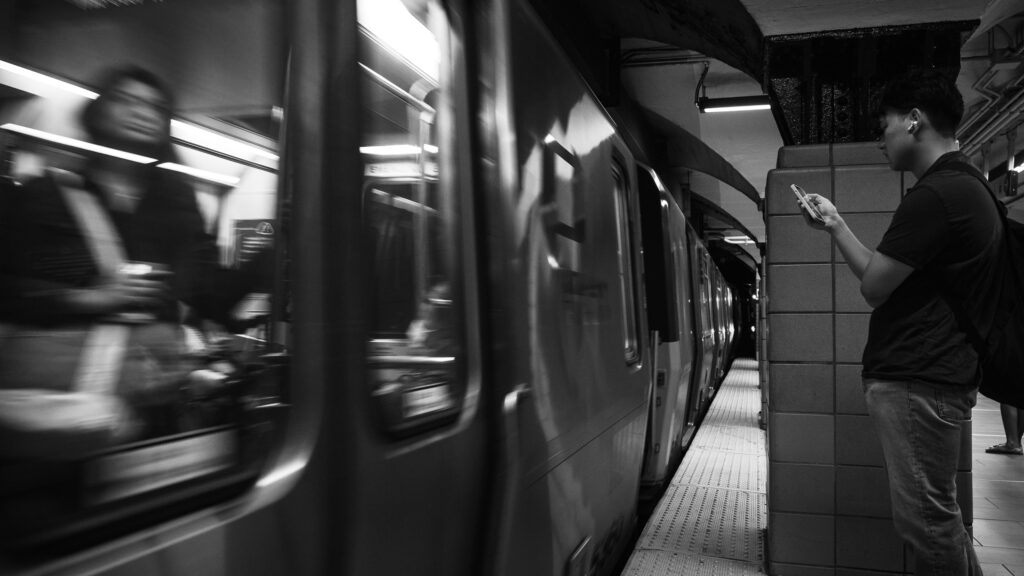 EnviraGallery-photography-12. September 2024 - A6700-20240912_0527_2- 12.jpg
