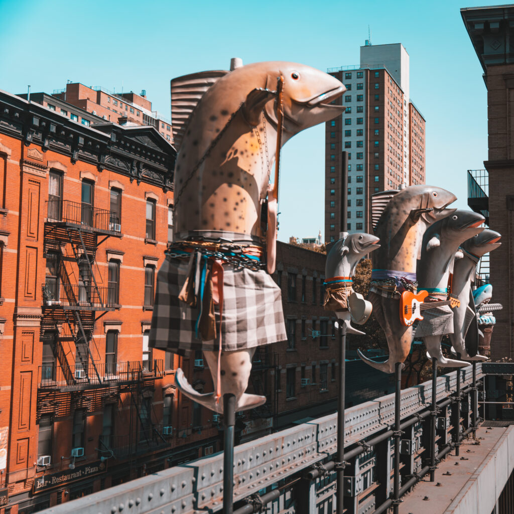 EnviraGallery-photography-12. September 2024 - A6_02215-Verbessert-RR- 09.jpg