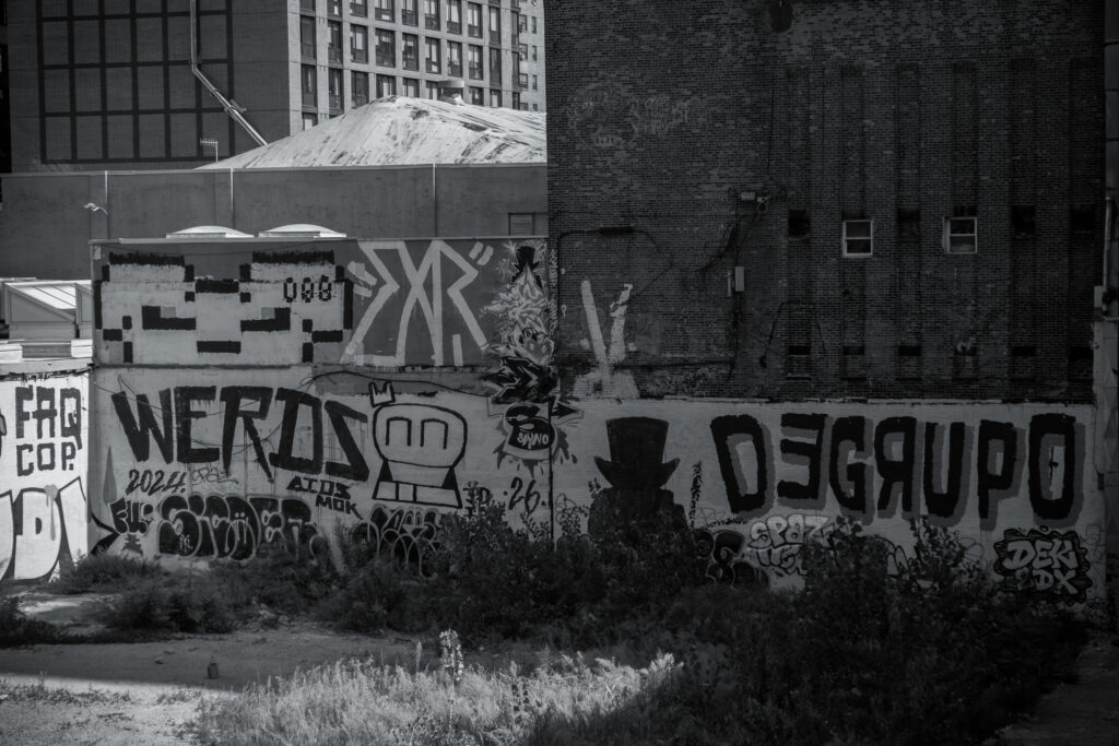 EnviraGallery-photography-12. September 2024 - A6_02216-Verbessert-RR- 10.jpg