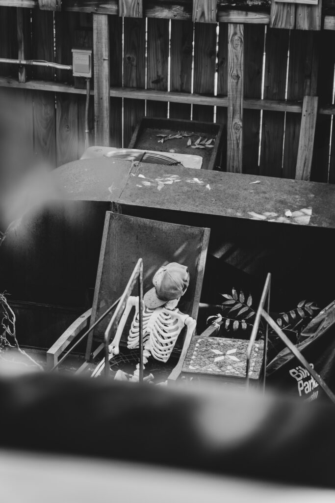 EnviraGallery-photography-12. September 2024 - A6_02220-Verbessert-RR-Bearbeitet- 05.jpg