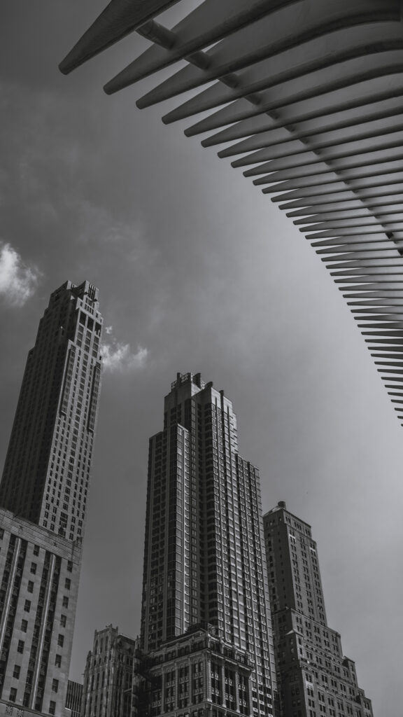 EnviraGallery-photography-13. September 2024 - A6_02236-Verbessert-RR- 57.jpg