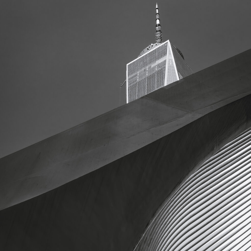 EnviraGallery-photography-13. September 2024 - A6_02253-Verbessert-RR- 59.jpg