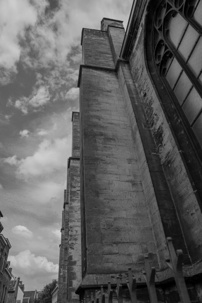 EnviraGallery-photography-26. Juni 2021 - _IRN0218- 02.jpg