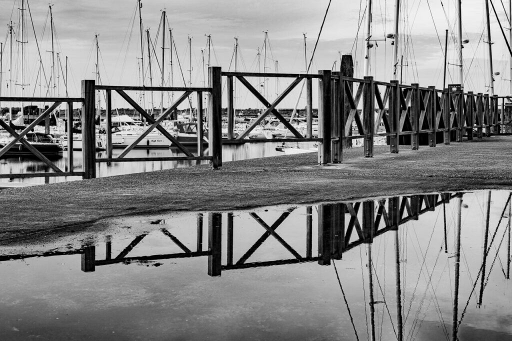 EnviraGallery-postthumb-18. Oktober 2021 - IRN03158- 03.jpg