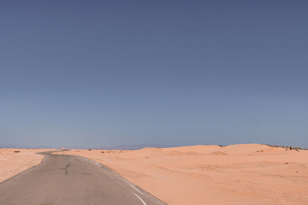 EnviraGallery-usatrip2022-30. März 2023 - IRN08502-Verbessert-RR- 36.jpg