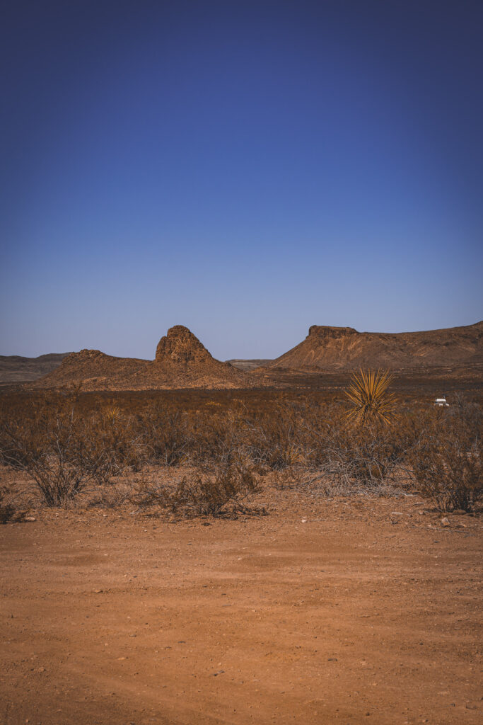 EnviraGallery-usatrip2022-01. April 2022 - IRN05669-Verbessert-RR- 04.jpg