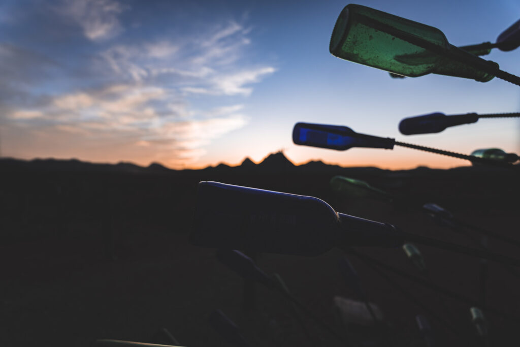 EnviraGallery-usatrip2022-01. April 2022 - IRN05728-Verbessert-RR- 30.jpg