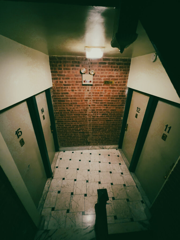 EnviraGallery-usatrip2022-01. März 2022 - IMG_003735- 70.jpg