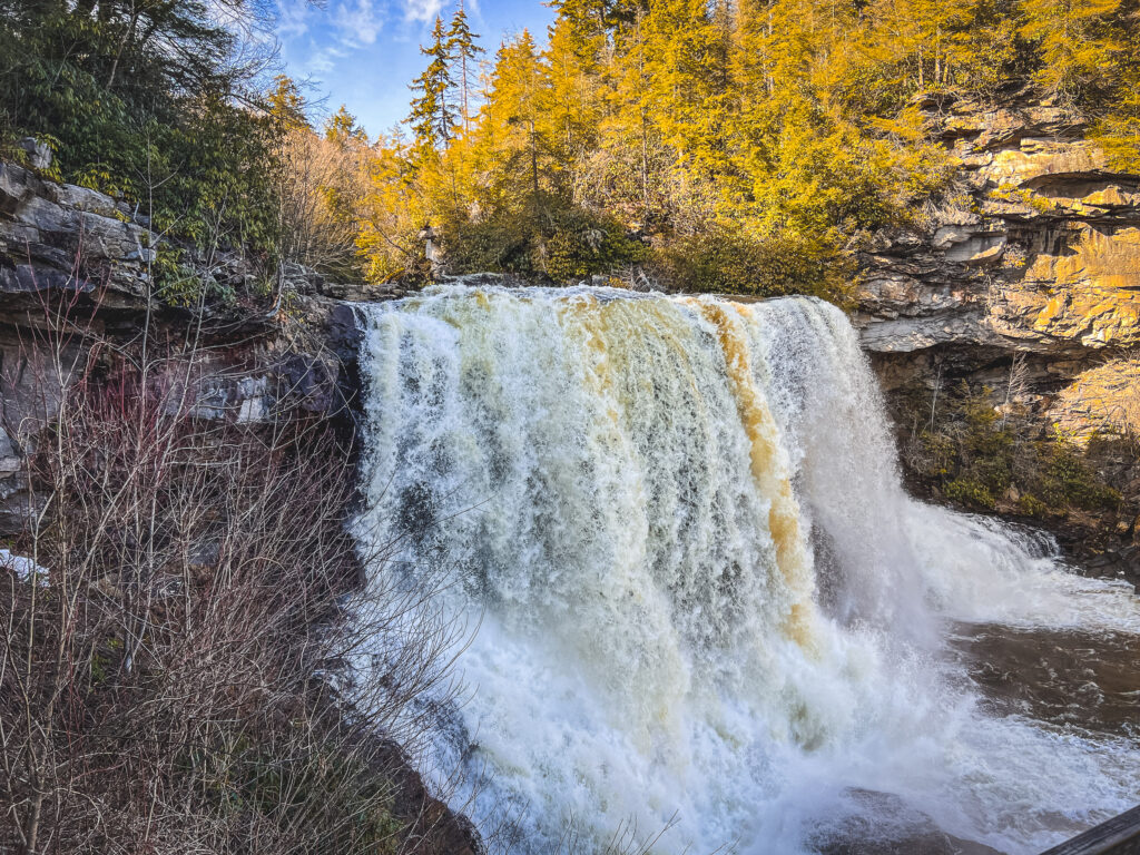 EnviraGallery-usatrip2022-03. März 2022 - IMG_003956- 22.jpg