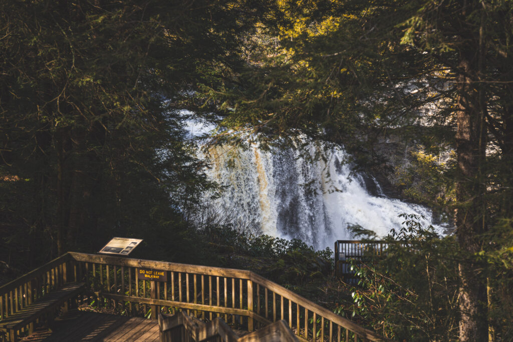 EnviraGallery-usatrip2022-03. März 2022 - IRN04079- 24.jpg