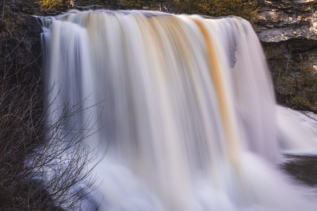 EnviraGallery-usatrip2022-03. März 2022 - IRN04094- 26.jpg