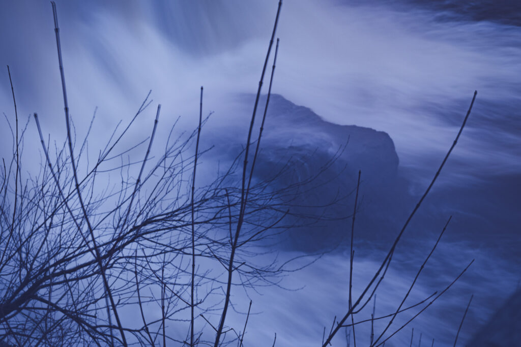 EnviraGallery-usatrip2022-03. März 2022 - IRN04095- 27.jpg