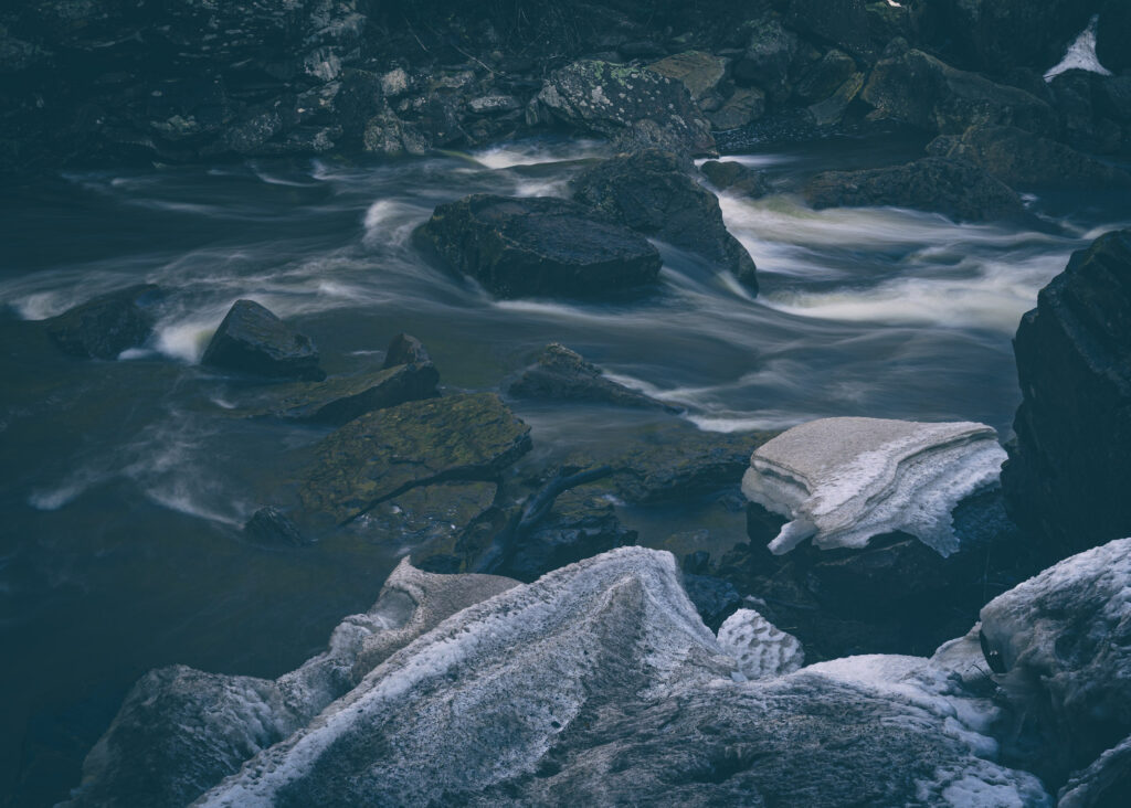 EnviraGallery-usatrip2022-03. März 2022 - IRN04096- 28.jpg