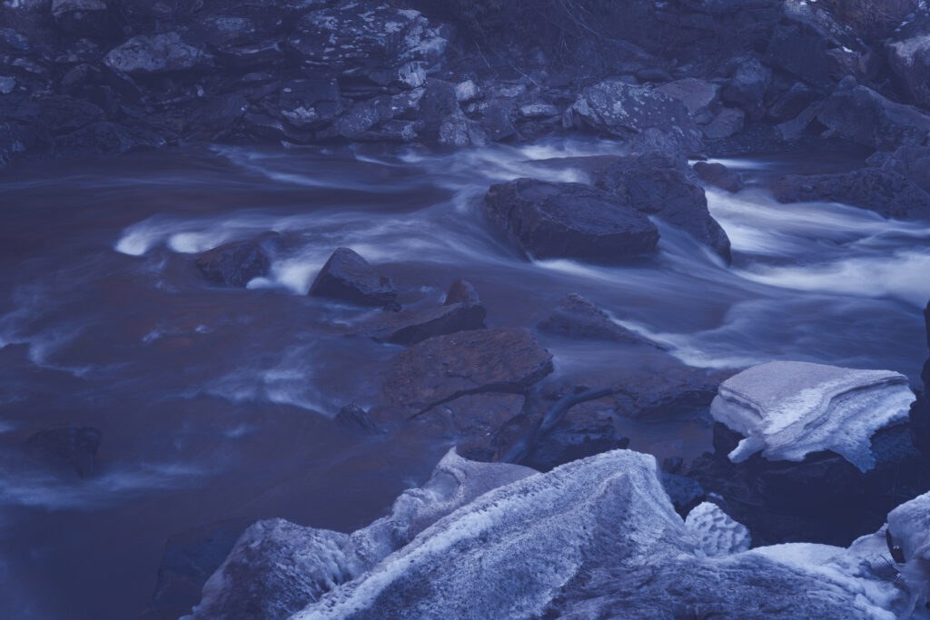 EnviraGallery-usatrip2022-03. März 2022 - IRN04100- 29.jpg