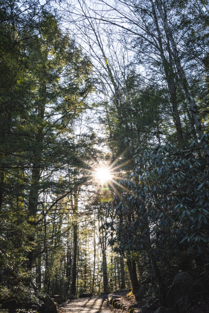 EnviraGallery-usatrip2022-03. März 2022 - IRN04109- 31.jpg