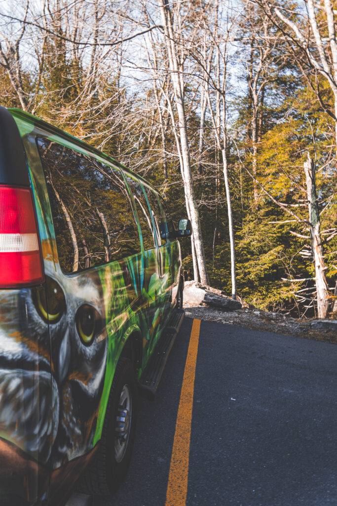 EnviraGallery-usatrip2022-03. März 2022 - IRN04118- 33.jpg