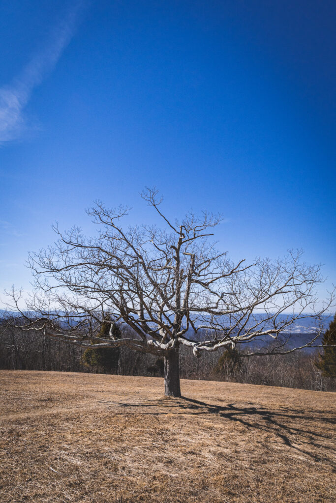 EnviraGallery-usatrip2022-04. März 2022 - IRN04167- 22.jpg