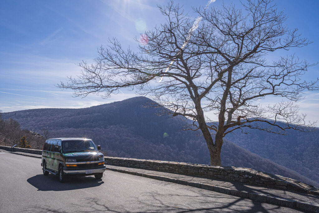 EnviraGallery-usatrip2022-04. März 2022 - IRN04217- 32.jpg