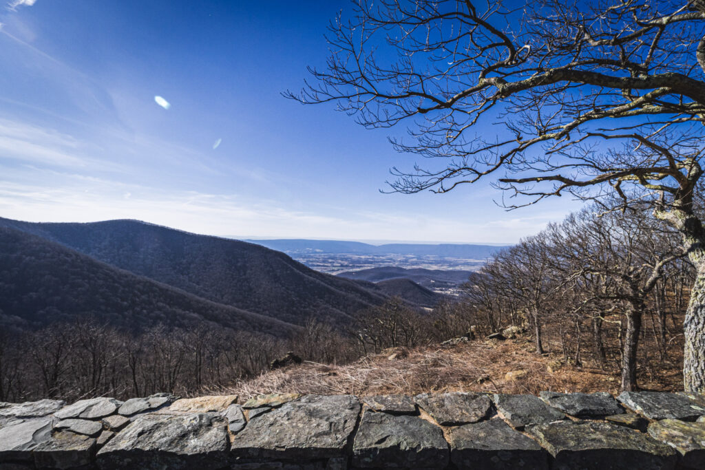 EnviraGallery-usatrip2022-04. März 2022 - IRN04218- 33.jpg