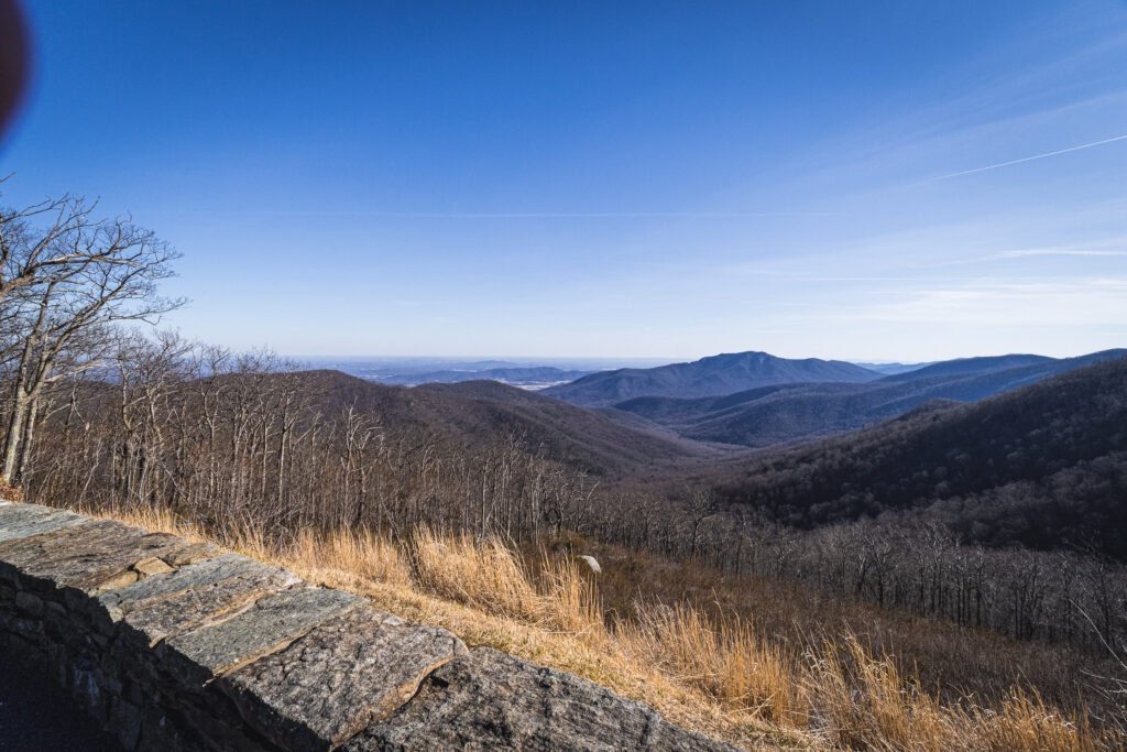 EnviraGallery-usatrip2022-04. März 2022 - IRN04229- 36.jpg