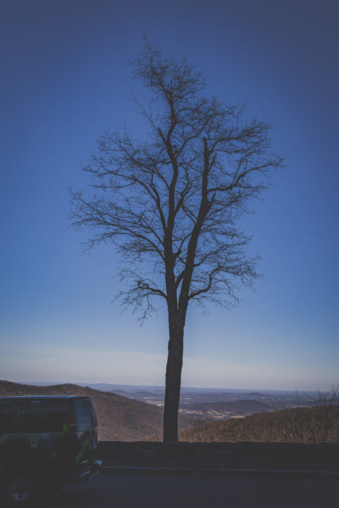 EnviraGallery-usatrip2022-04. März 2022 - IRN04244- 39.jpg