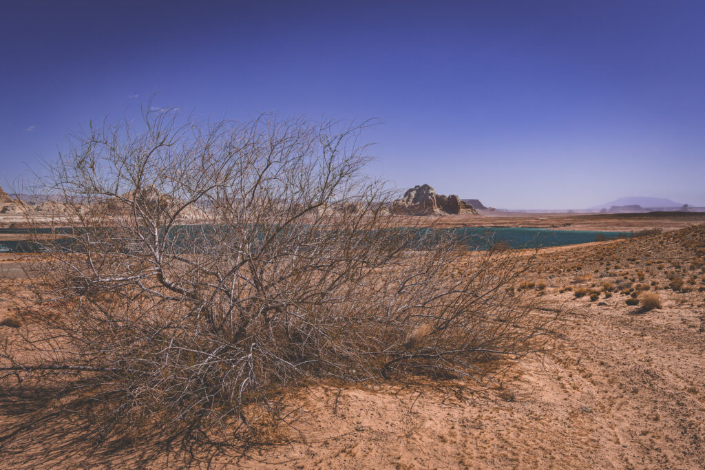 EnviraGallery-usatrip2022-05. April 2022 - IRN05966-Verbessert-RR- 03.jpg