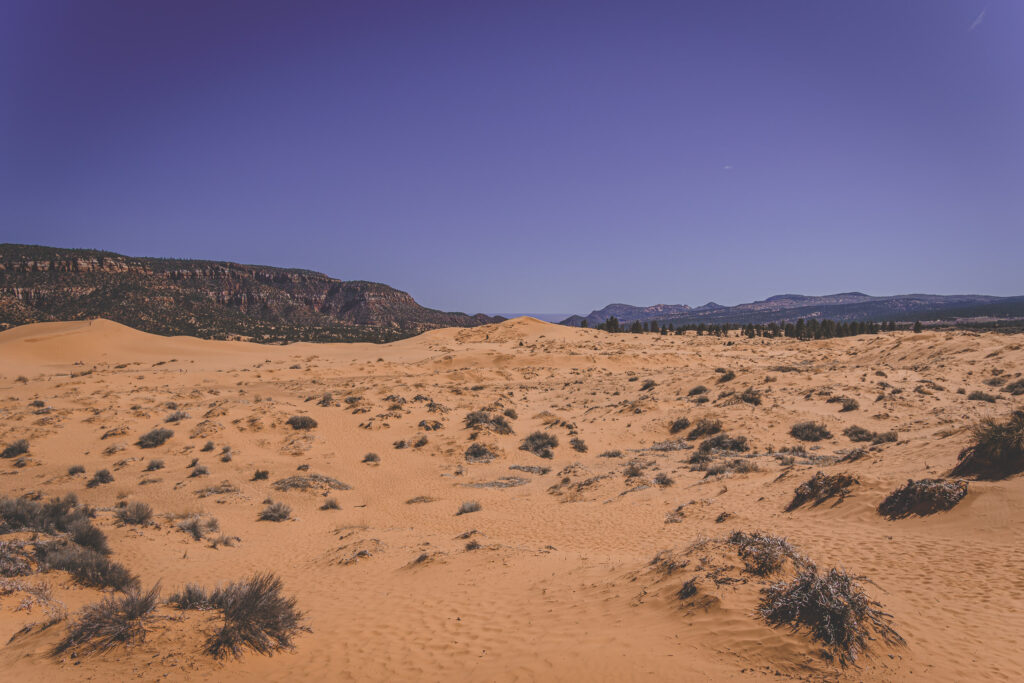 EnviraGallery-usatrip2022-05. April 2022 - IRN05985-Verbessert-RR- 18.jpg