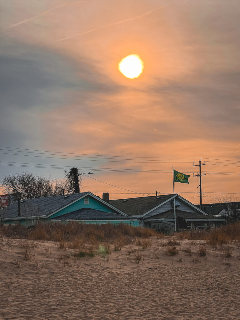 EnviraGallery-usatrip2022-06. März 2022 - IMG_004073- 15.jpg