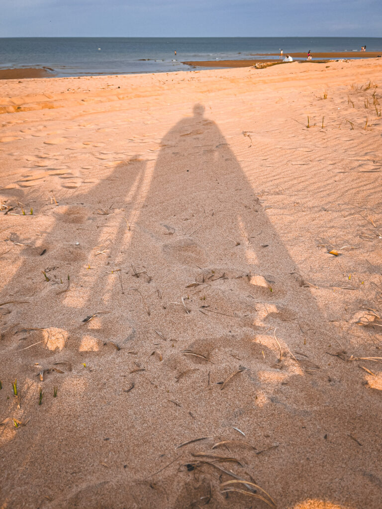 EnviraGallery-usatrip2022-06. März 2022 - IMG_004079- 17.jpg