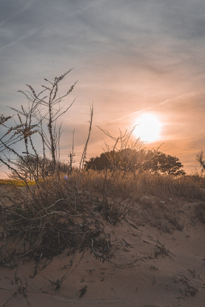 EnviraGallery-usatrip2022-06. März 2022 - IRN04369- 09.jpg