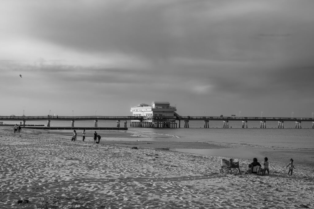 EnviraGallery-usatrip2022-06. März 2022 - IRN04371-Verbessert-RR- 10.jpg