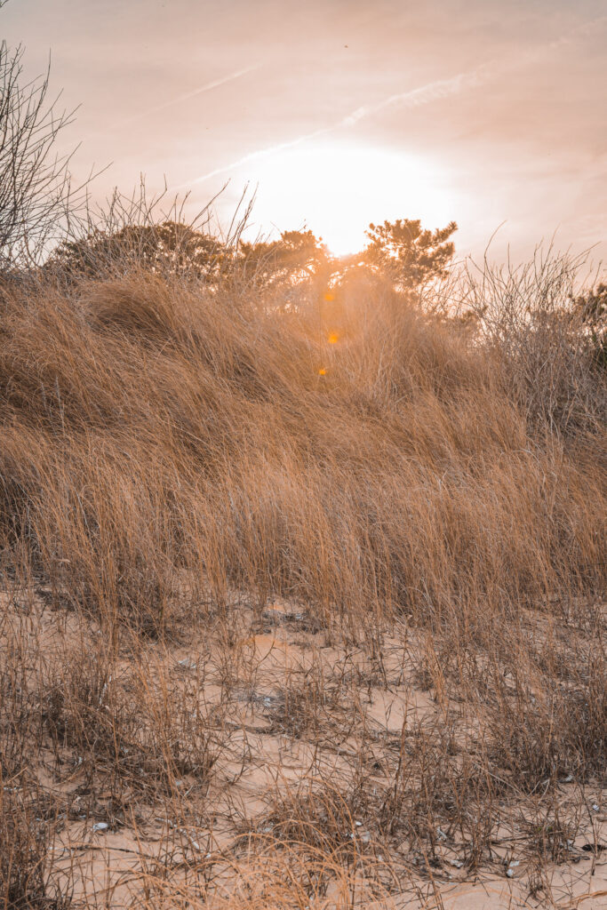 EnviraGallery-usatrip2022-06. März 2022 - IRN04372- 11.jpg