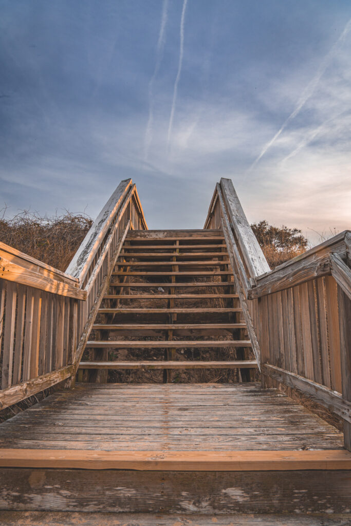 EnviraGallery-usatrip2022-06. März 2022 - IRN04373- 12.jpg