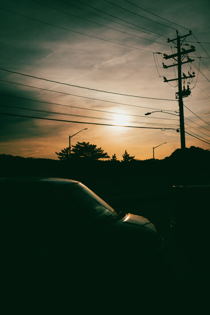 EnviraGallery-usatrip2022-06. März 2022 - IRN04379- 14.jpg