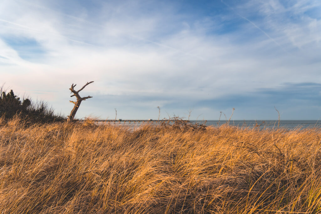 EnviraGallery-usatrip2022-06. März 2022 - IRN04381- 15.jpg