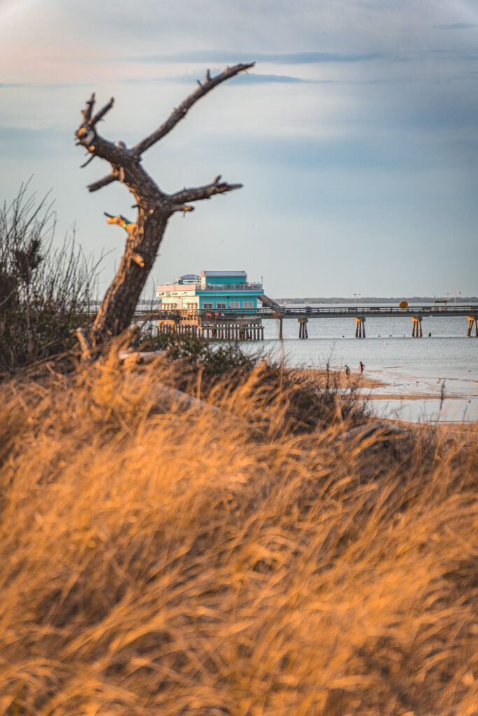 EnviraGallery-usatrip2022-06. März 2022 - IRN04383- 16.jpg