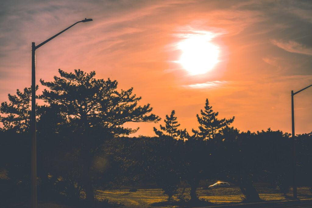 EnviraGallery-usatrip2022-06. März 2022 - IRN04384- 17.jpg