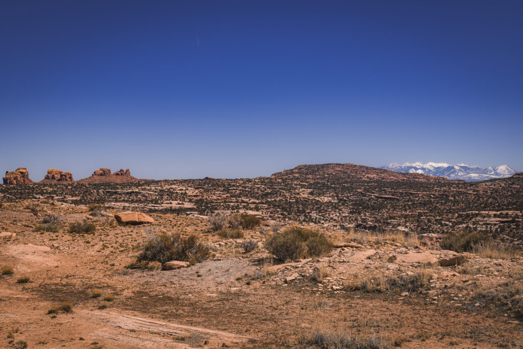EnviraGallery-usatrip2022-08. April 2022 - IRN06199-Verbessert-RR-2- 14.jpg