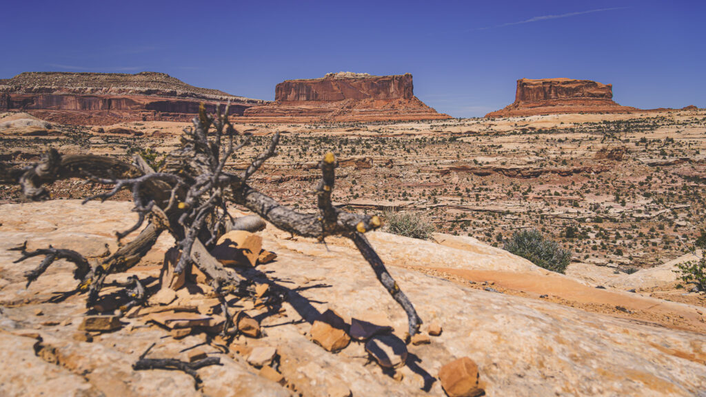 EnviraGallery-usatrip2022-08. April 2022 - IRN06218-Verbessert-RR- 21.jpg